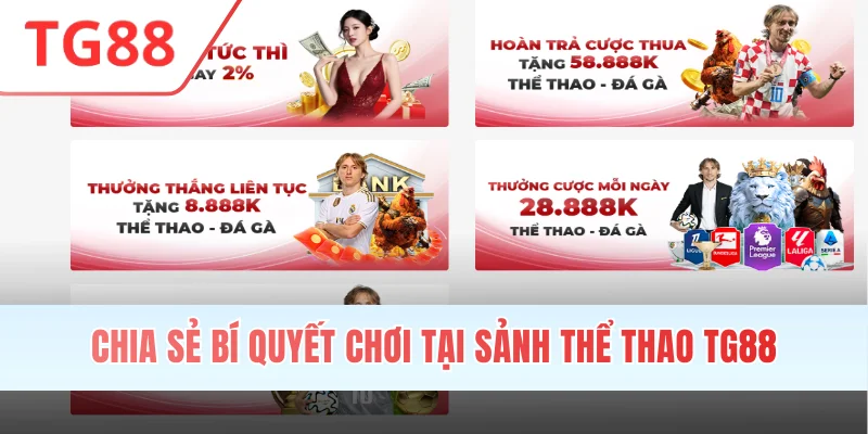 Chia sẻ bí quyết chơi tại sảnh thể thao TG88