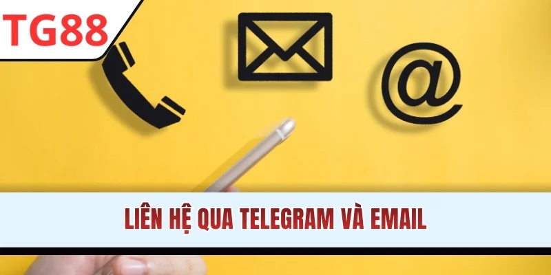 Liên hệ qua Telegram và Emai